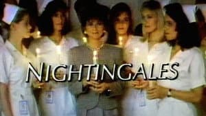 Nightingales — foto 1