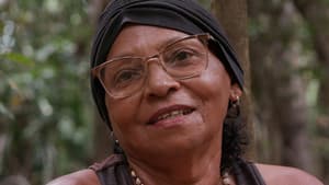 Xingu à margem — foto 6