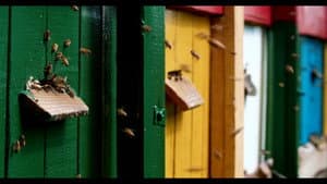 The Honey Bee — foto 5