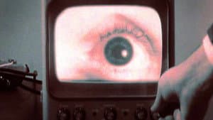 All Watched Over by Machines of Loving Grace — foto 3