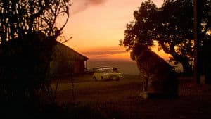 Cujo — foto 2