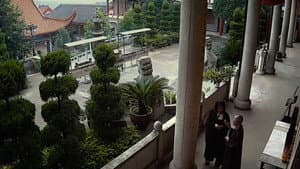 蜻蜓之眼 — foto 1