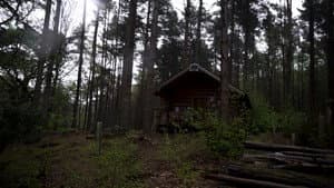 Disturbance — foto 1