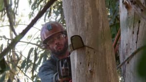 Episodio 4