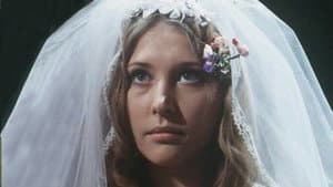 Hochzeitsnacht-Report — foto 1