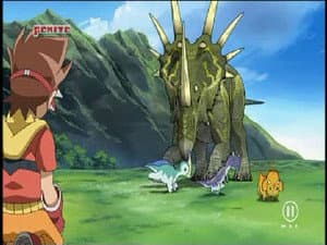 Maui Owie