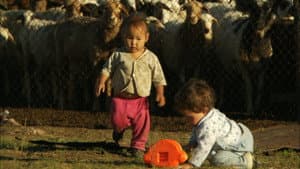 Bébés — foto 3