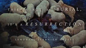 This Is Not a Burial, It's a Resurrection — foto 6