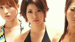 かんなの水魚 — foto 1