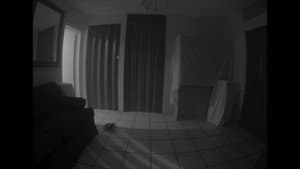 Aquí hay FANTASMAS — foto 12