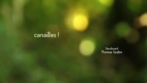 Episodio 49