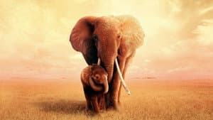 The Elephant Queen — foto 2