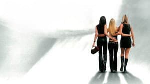 The Sisterhood — foto 2