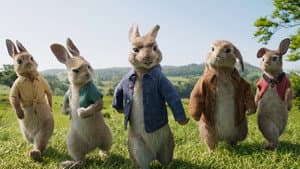 Las travesuras de Peter Rabbit — foto 12
