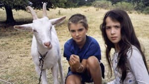 Des enfants qui s'aiment — foto 3