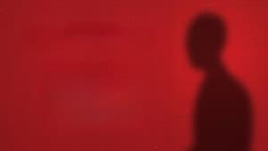 My Son Went Quiet — foto 1