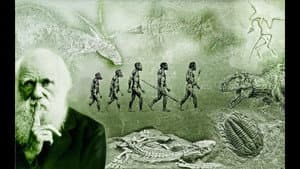 What Darwin Never Knew — foto 1