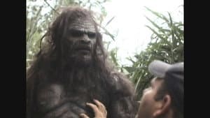 Bigfoot — foto 1