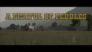 A Fistful Of Pebbles — foto 2