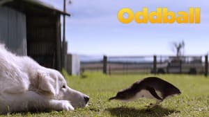Oddball y sus pingüinos — foto 4