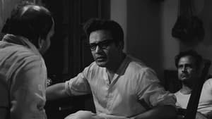চিড়িয়াখানা — foto 1