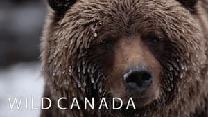 Wild Canada — foto 5
