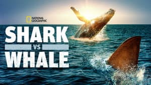 Shark Vs. Whale — foto 5