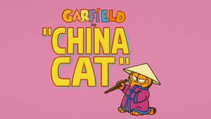 Gato chino