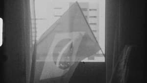 Anomalia — foto 1