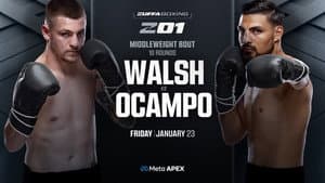 Zuffa Boxing 01 — foto 4