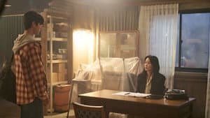 나미브 — foto 2