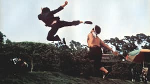 唐山虎威殲殺手 — foto 3