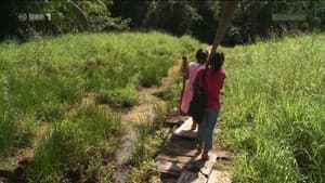 Episodio 2