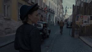 Ema a smrtihlav — foto 3