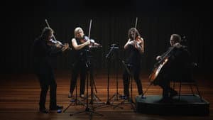 Anatomy of a String Quartet — foto 1