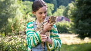 Mon chat et moi, la grande aventure de Rroû — foto 5