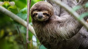 Untamed Costa Rica with Filipe DeAndrade — foto 7