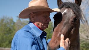 The Cowboy and the Queen — foto 1