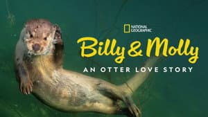 Billy & Molly: An Otter Love Story — foto 5
