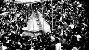 Lejos de los árboles — foto 3