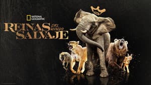 Reinas del mundo animal — foto 8