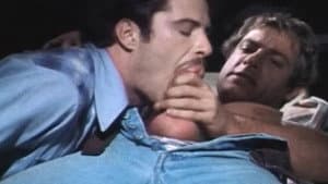 A Night at the Adonis — foto 1