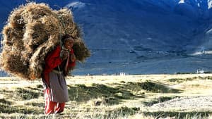 Himalaya, la terre des femmes — foto 2