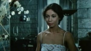 La casa del tappeto giallo — foto 1