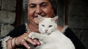 Death & Cats — foto 1