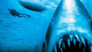 Tiburón 4: La venganza — foto 3