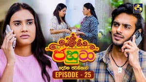 Episodio 25