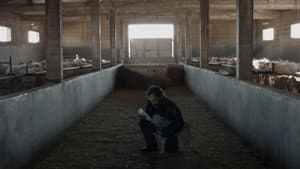 O Guardador — foto 1