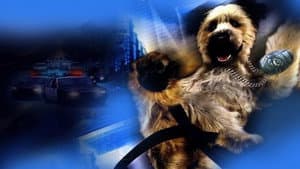 The Karate Dog — foto 1