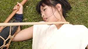 真田くノ一忍法伝 かすみ 少女秘戯伝説 — foto 1